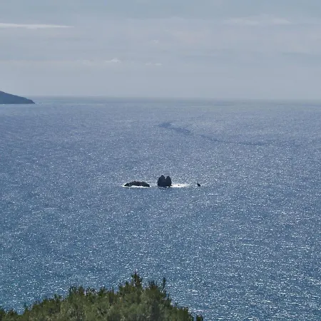 Family Friendly With A Swimming Pool On *